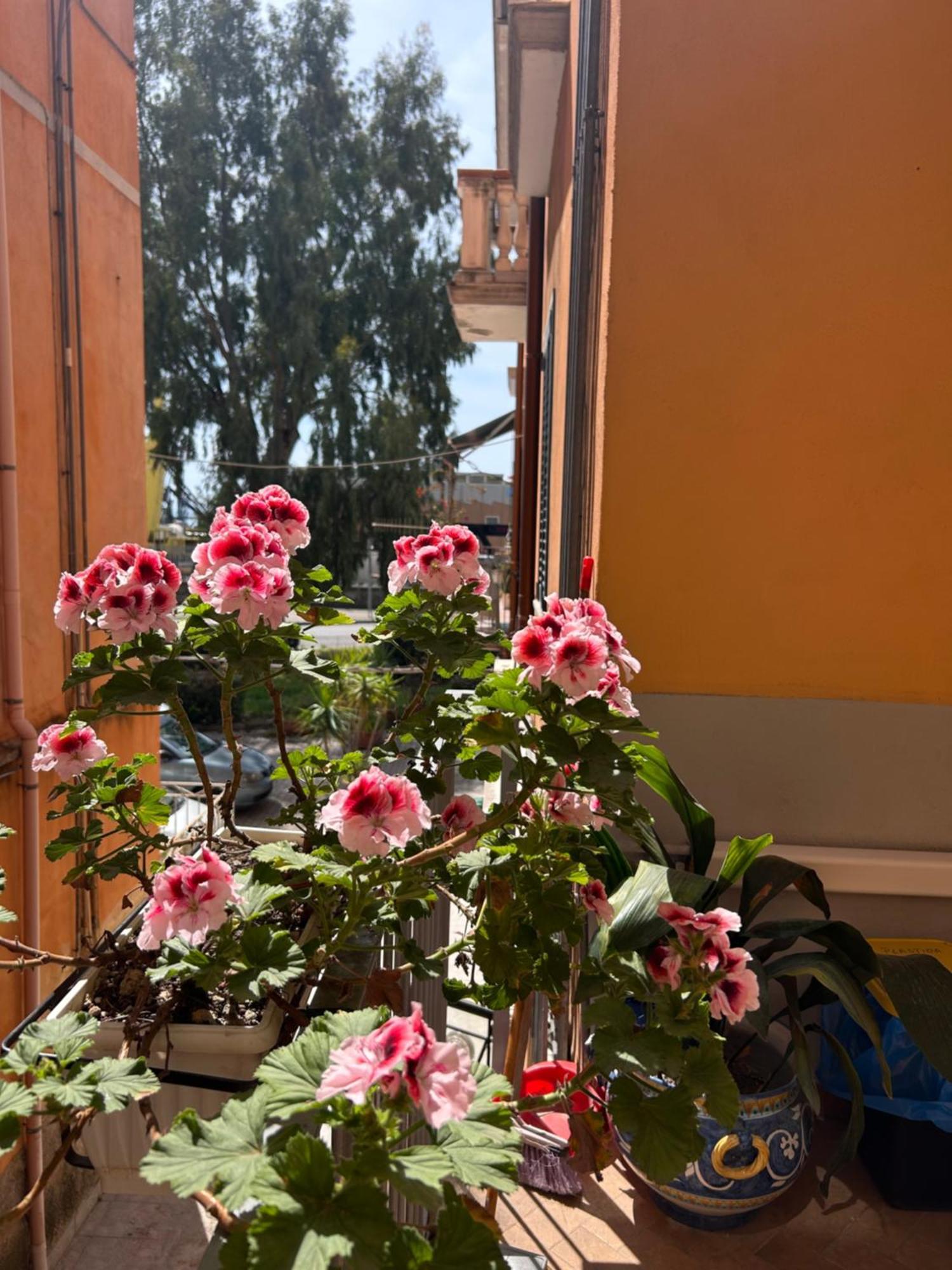 Sissi House Salerno 아파트 외부 사진